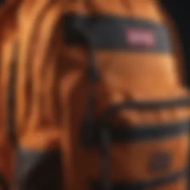 Close-up of the JanSport Sunset Backpack showcasing its high-quality materials