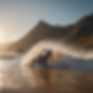Scenic Spots for Land Surfing Adventures A breathtaking landscape showcasing ideal land surfing conditions