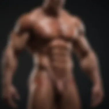 Muscle Anatomy During Physical Performance Diagram showing the anatomy of muscles during exercise