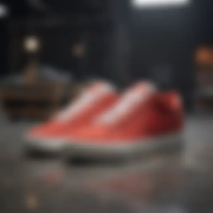 Cultural representation of the Nike SB Blazer Lo in skateboarding.
