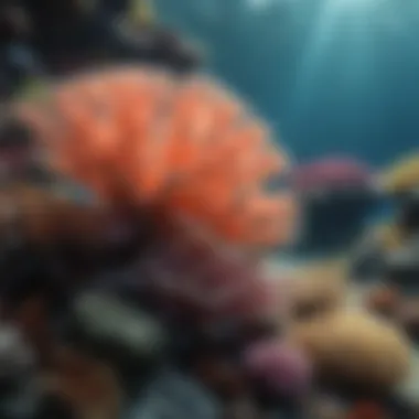 A vibrant coral reef showcasing marine life diversity