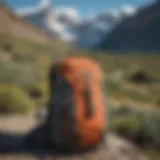 Patagonia One Strap Bag in a scenic outdoor setting