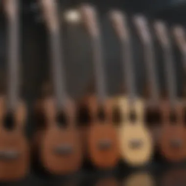 An engaging visual of different ukulele types lined up for comparison