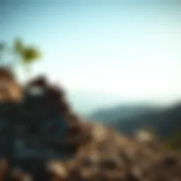 Stylish Roxy Brown Sandals on a rocky trail