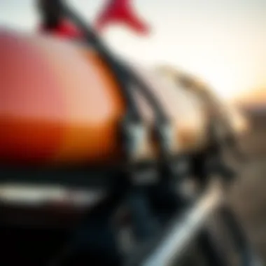 Quality Straps and Buckles for Surfboards Close-up of high-quality surfboard straps and buckles