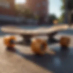 Different types of skateboards displayed