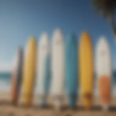 A variety of surfboards lined up on the beach showcasing different styles and designs