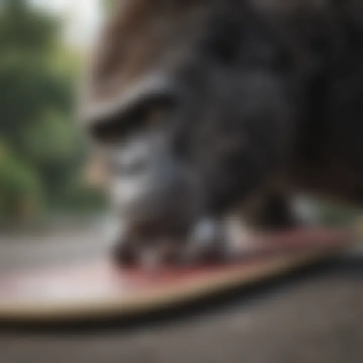Gorilla traction pads applied on a skateboard deck