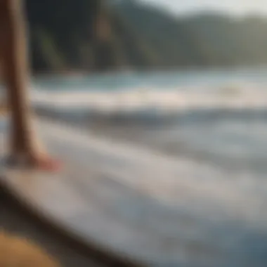 A close-up of different skimboard designs