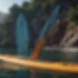 Different types of SUP fins showcasing designs and shapes