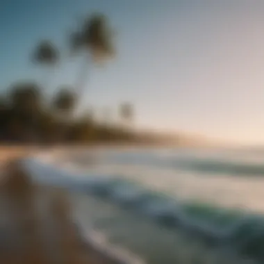 An aerial shot of Cabarete beach showcasing its vibrant surf culture