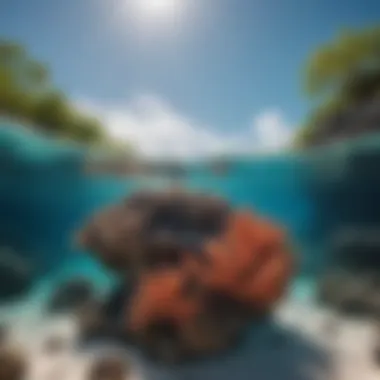 Coral reefs thriving in the clear blue waters of the island