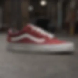 The Enduring Appeal of Vans Sk8 Low Shoes Introduction