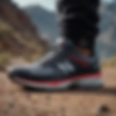 Diversity in New Balance Footwear A collection of New Balance shoes tailored for various extreme sports, emphasizing diversity in the product line.