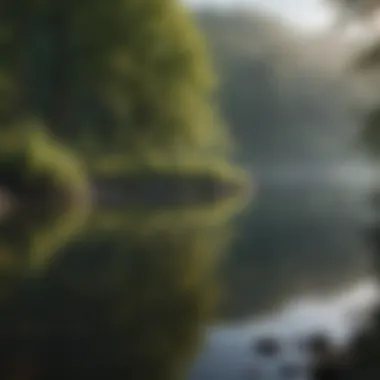 Tranquility by the Water's Edge Calm lake surrounded by greenery