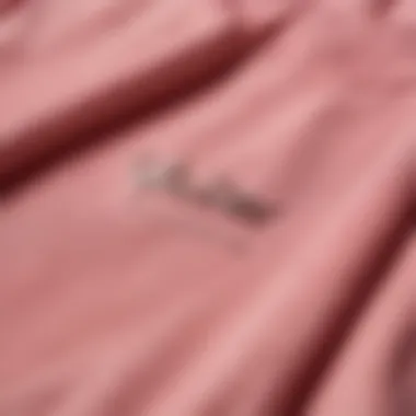 Close-up of fabric texture and logo on a pink Hollister sweatshirt