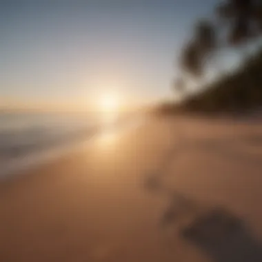 A peaceful beach at sunset with soft sand