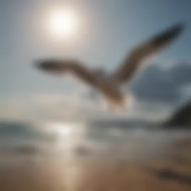 Seagulls soaring over a serene ocean