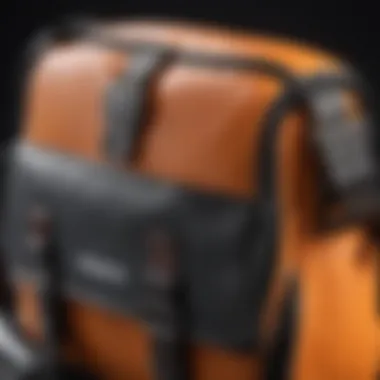 Close-up of functional features of the Roxy crossbody