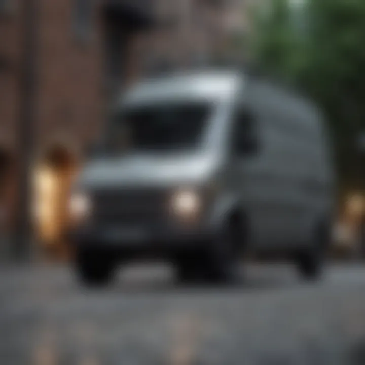 Group of extreme sports enthusiasts wearing grey platform vans