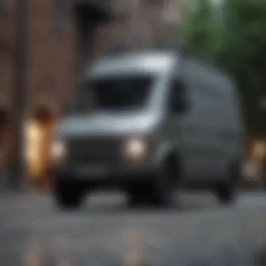 Extreme Sports Enthusiasts in Grey Platform Vans Group of extreme sports enthusiasts wearing grey platform vans