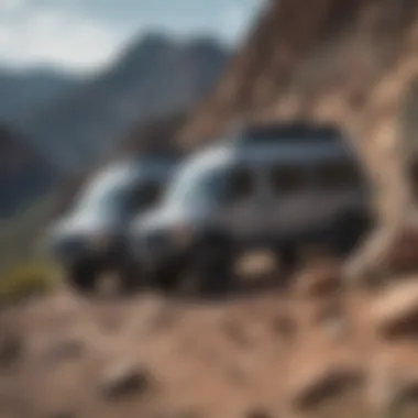A pair of grey platform vans on a rugged terrain