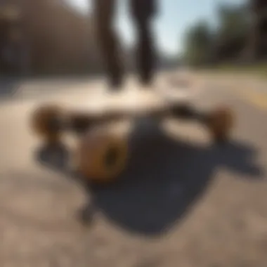 Longboard Width Comparison Wide versus narrow longboard decks showcased