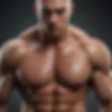 Major Muscle Groups in the Body Illustration of major muscle groups in the body