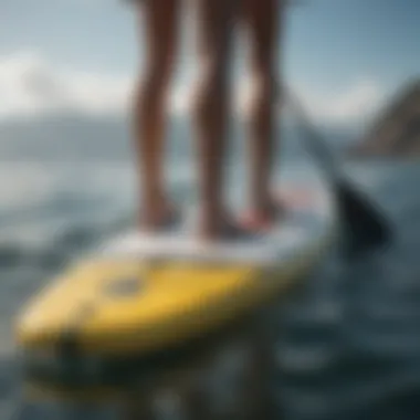 A detailed view of various paddle board designs showcasing different shapes and sizes.