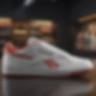 Understanding Reebok Club C 85 Size 6: A Comprehensive Examination Summary