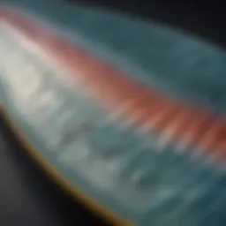 Close-up of a soft top fish surfboard showcasing its unique design and texture