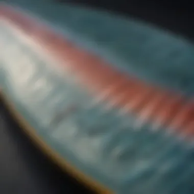 Close-up of a soft top fish surfboard showcasing its unique design and texture