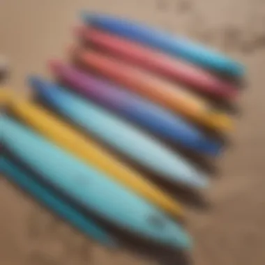 Various soft top fish surfboards lined up on the beach, highlighting different colors and shapes