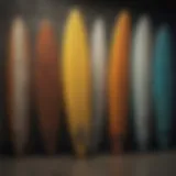 Different types of surfboards showcasing their diverse shapes and sizes