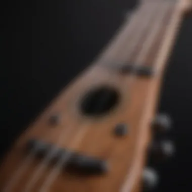 Proper Finger Positioning on the Ukulele Close-up of ukulele finger positioning on fretboard