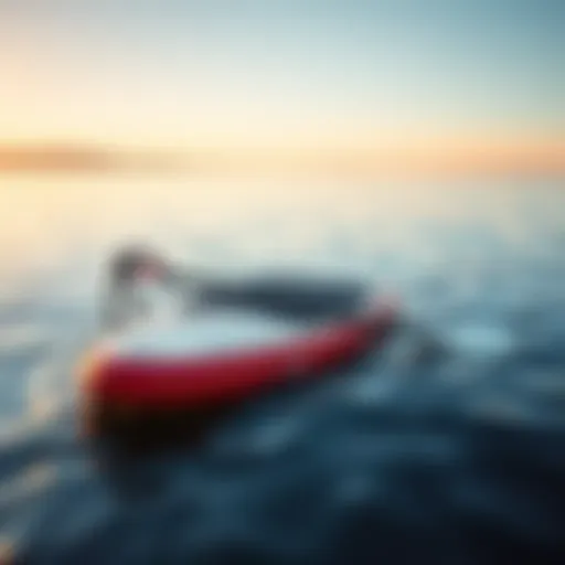 The Performance of Inflatable Paddle Boards in Tranquil Waters Inflatable paddle board on calm water