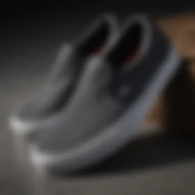 Detailed Texture of the Charcoal Slip-On Close-up of the Vans Classic Slip-On Charcoal texture