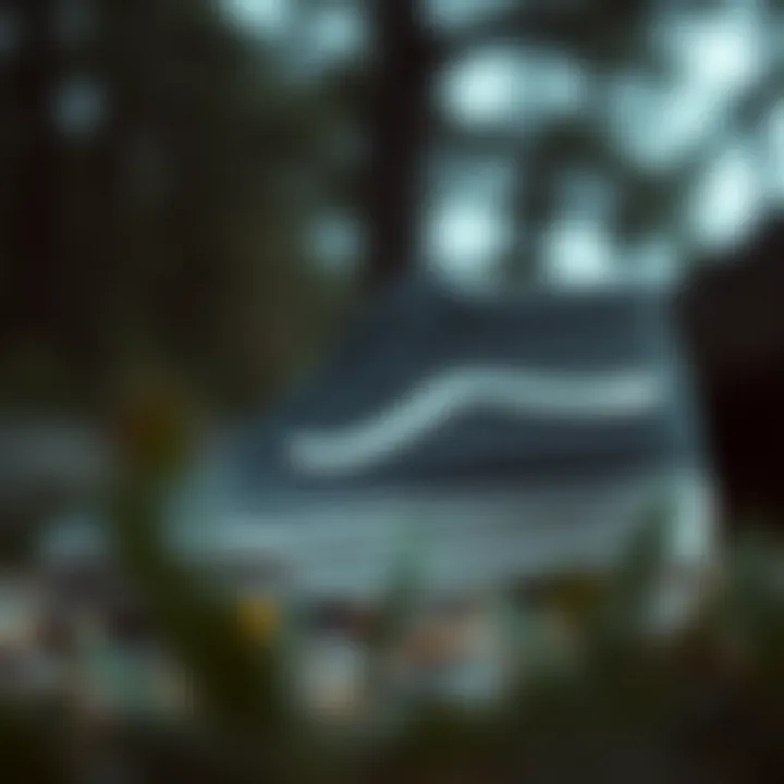 Historical pricing trends graph for Vans Half Cab over the years