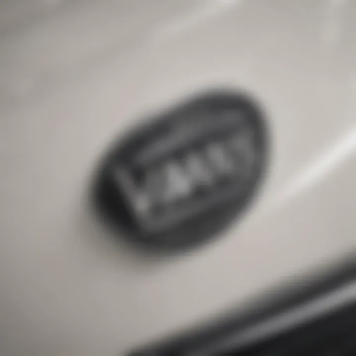 Close-up of the Vans logo on the side of the shoe