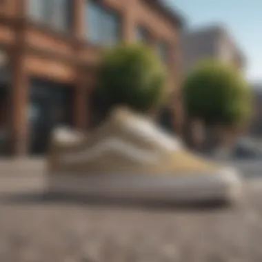 Vans Old Skool Khaki in Action on the Skateboard Vans Old Skool Khaki on a skateboard