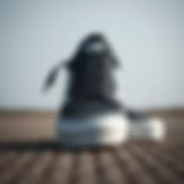 Vans Old Skool Leather Design Showcase Stylish Vans Old Skool Leather Black and White sneakers on display