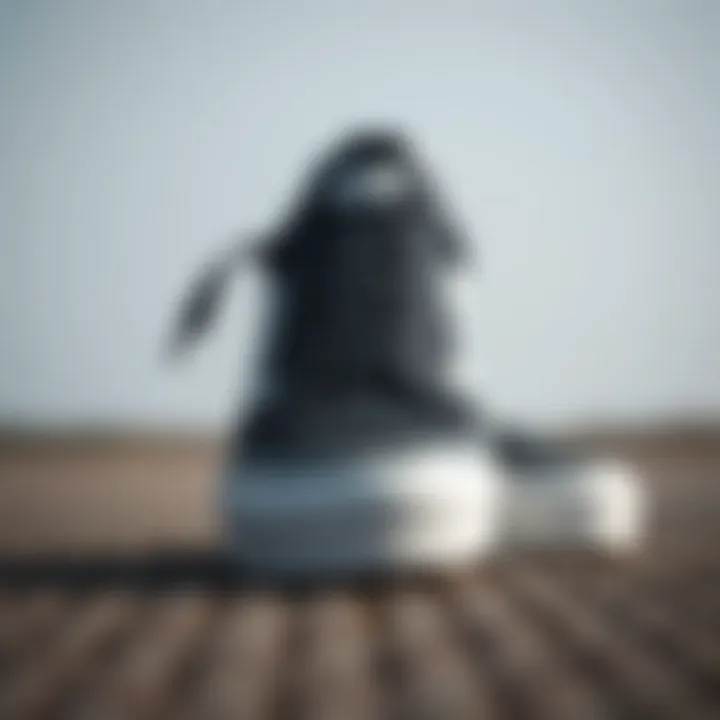 Vans Old Skool Leather Design Showcase Stylish Vans Old Skool Leather Black and White sneakers on display