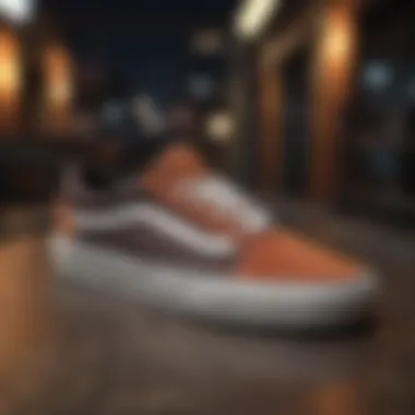 Diverse Range of Vans Footwear A creative layout of Vans products showcasing diversity and choice.